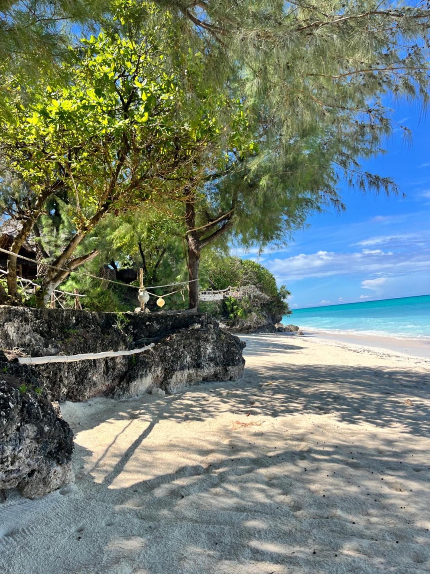 Sazani Beach Lodge And Tidal Lounge Nungwi Exterior photo