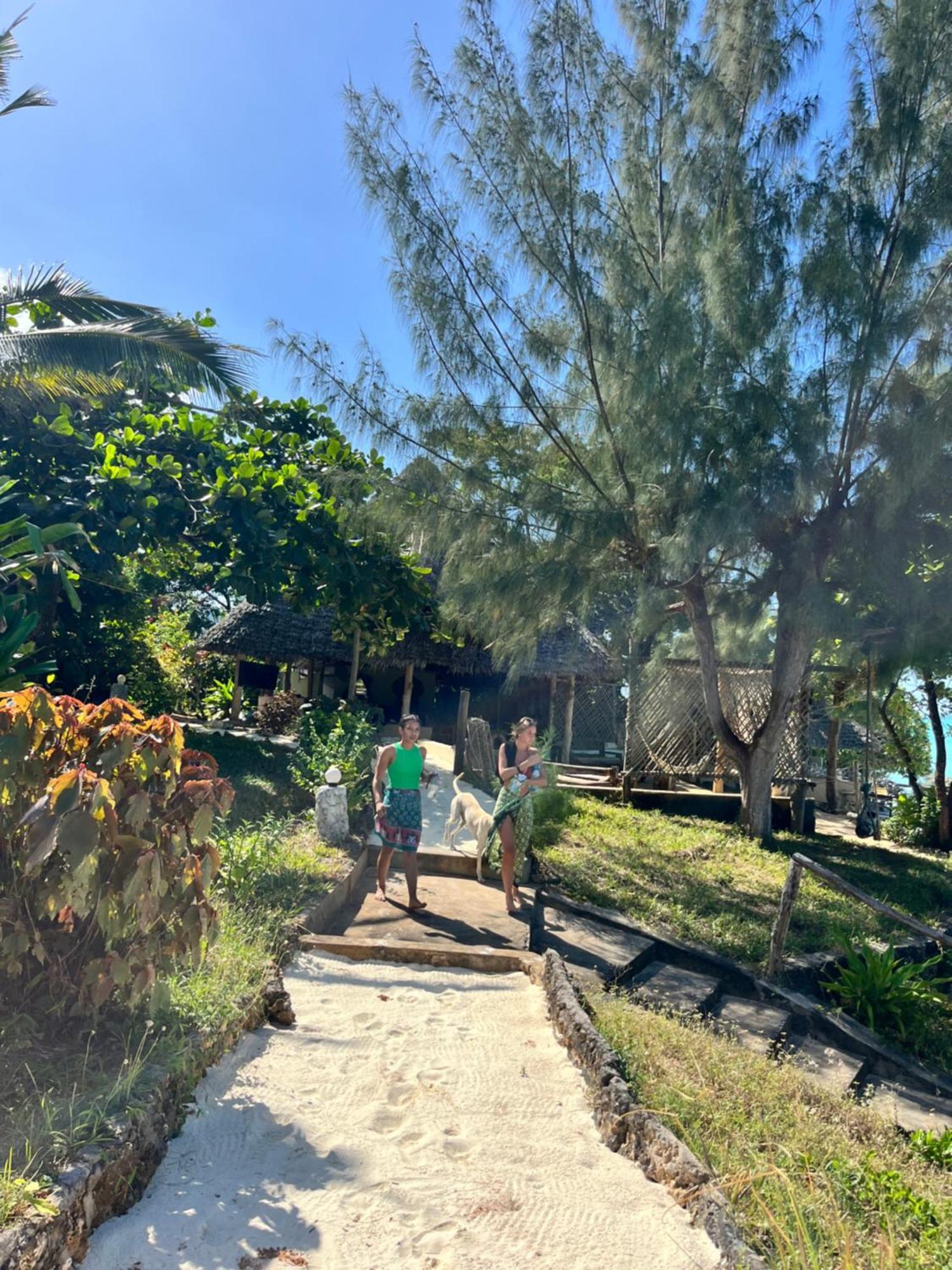 Sazani Beach Lodge And Tidal Lounge Nungwi Exterior photo