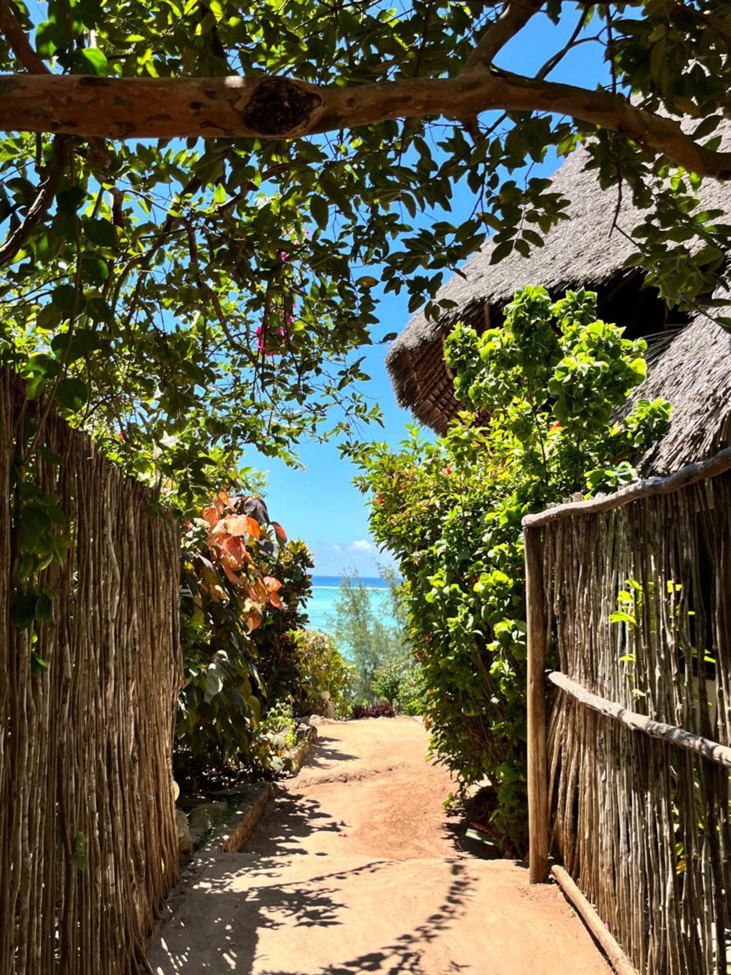 Sazani Beach Lodge And Tidal Lounge Nungwi Exterior photo